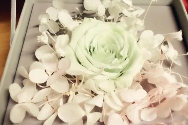 永生花是什么,是指经过处理的生态花