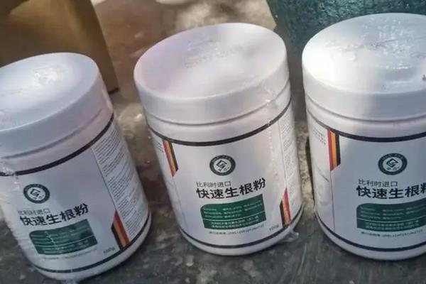 不能用生根粉的有哪些植物,常见的有长寿花、月季、天竺葵