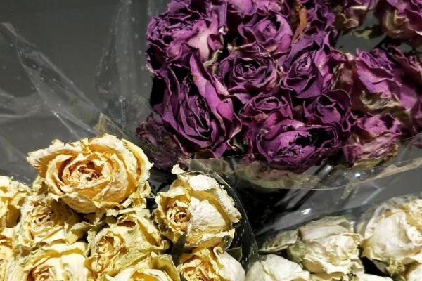 干玫瑰花可以放多久,可以存放半年左右