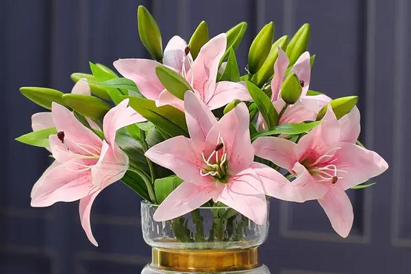 百合花鲜花怎么养护，可以在将其插入水中养殖