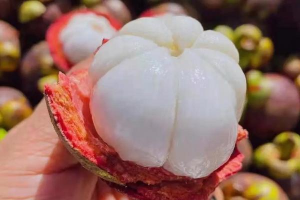 山竹怎么剥，用力挤压最为简单常用