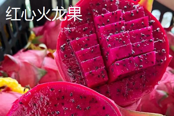 红心火龙果和白心火龙果的区别,甜度、价格均不同