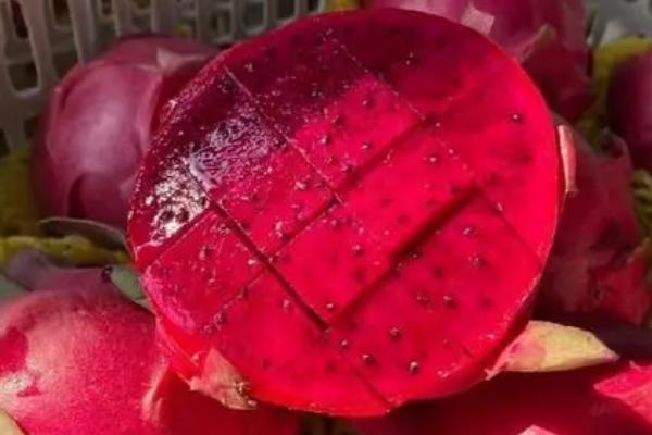红心火龙果和白心火龙果的区别,甜度、价格均不同