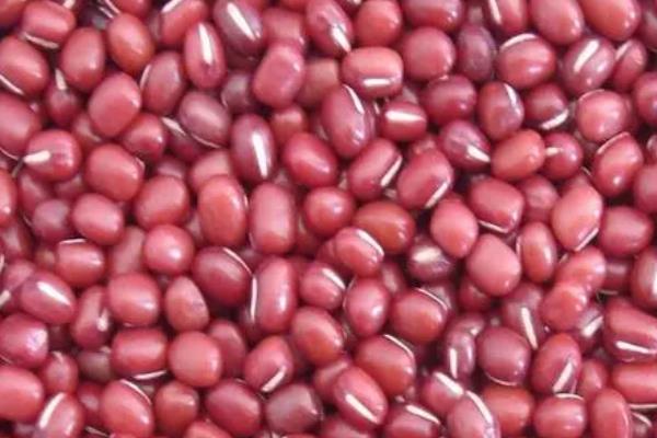 红小豆播种在几月份,可在3-6月播种