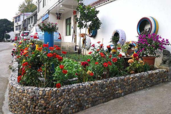 梅雨季节花可以放在露天吗,多肉植物不适合放在室外养护