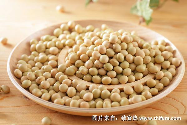 航天大豆有哪些品种