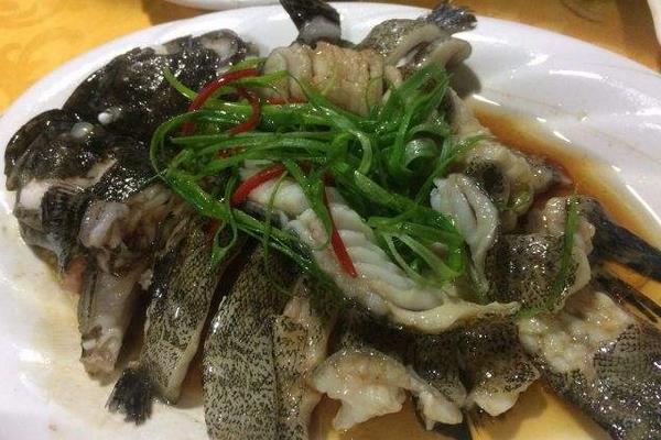 石斑鱼一斤多少钱？养殖前景如何