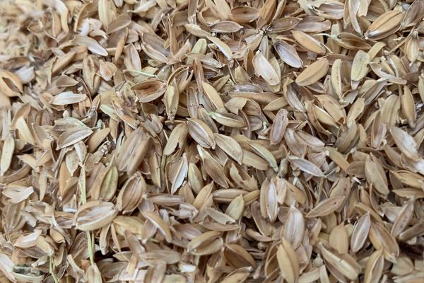 黑稻壳灰的主要成分是什么？稻壳灰和草木灰有什么区别