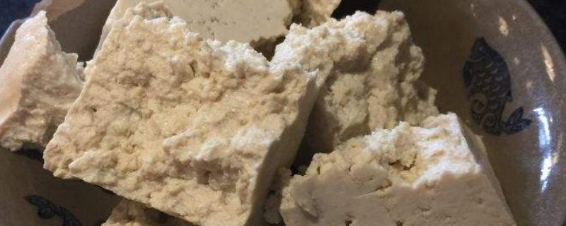 如何发酵豆腐渣做肥料