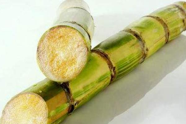 甘蔗种植前景如何？有什么作用？(附加高产栽培技术)