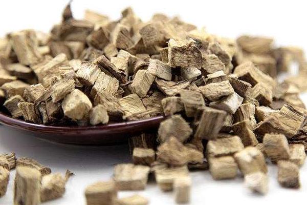 葛根苗的价格及种植方法