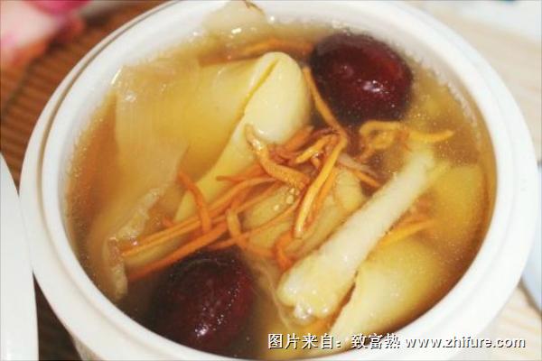 鸽子蛋有多大