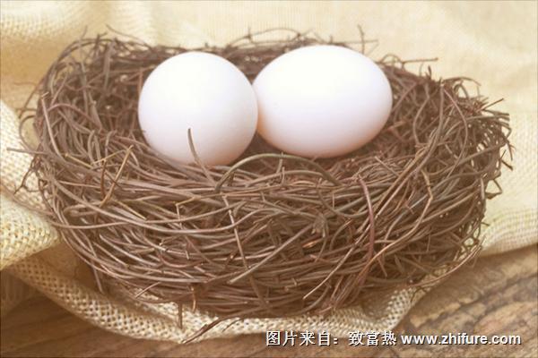 为什么鸽子第一窝蛋不能要