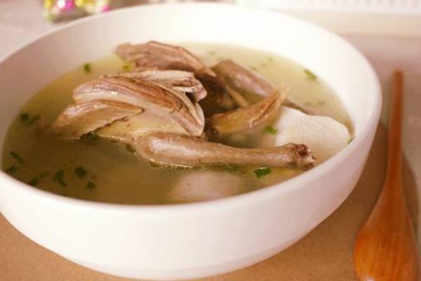 小鸽子能飞多久
