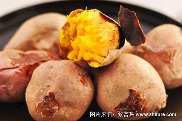 烟薯25和西瓜红薯有什么区别