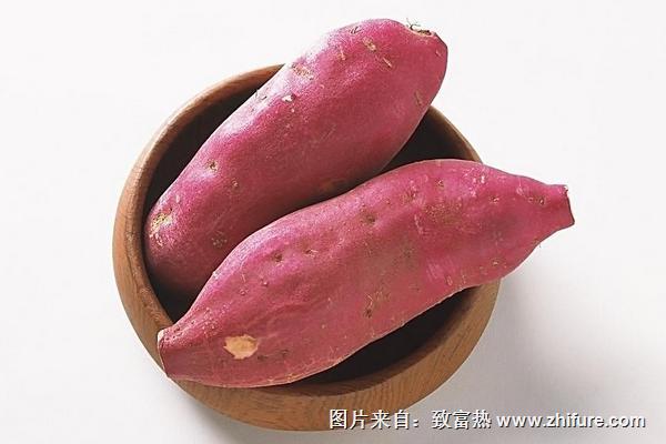红薯一斤多少钱？红薯种植利润如何