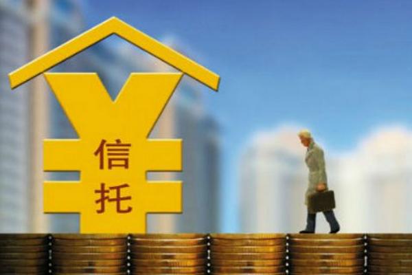 什么时候种四季豆最好