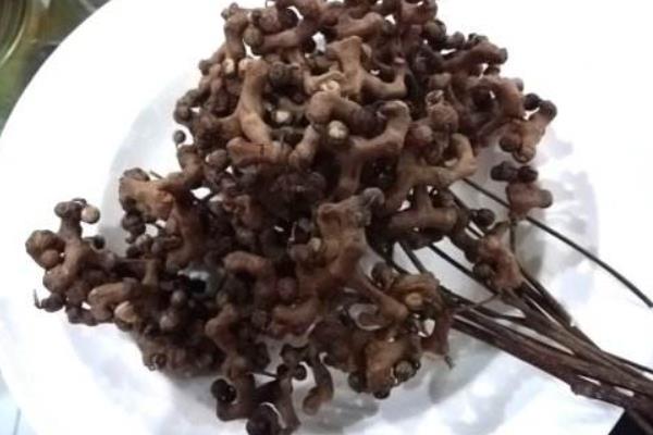 转枣种植赚钱吗？转枣市场市场及种植前景分析