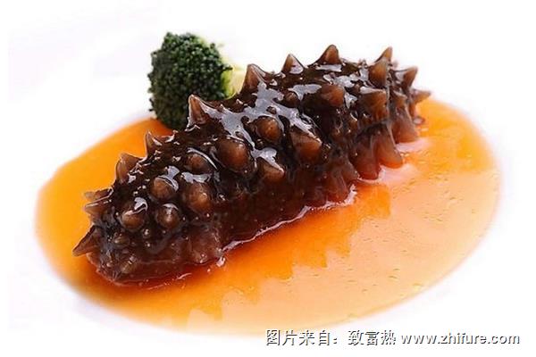 红极参产地在哪里？与海参有什么区别