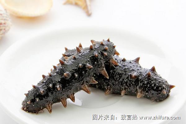 泡海参最好的方法是什么
