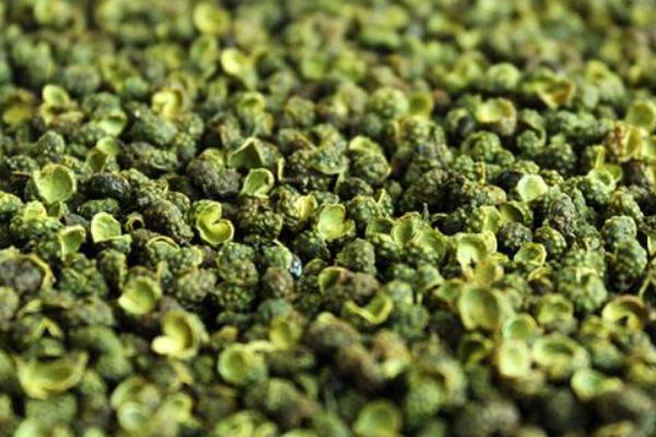 花椒的价格是多少