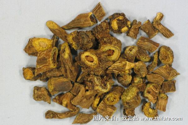 什么时候种黄芩