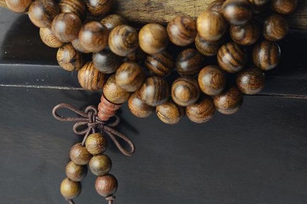 如何选择黄连木种子？有哪些育苗方法