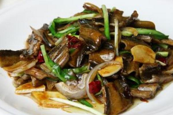 如何促进早春黄鳝早开食