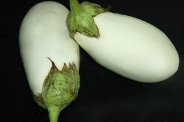 采摘茄子叶子的时间和方法