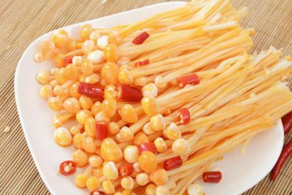 金针菇一斤多少钱？金针菇种植成本利润分析