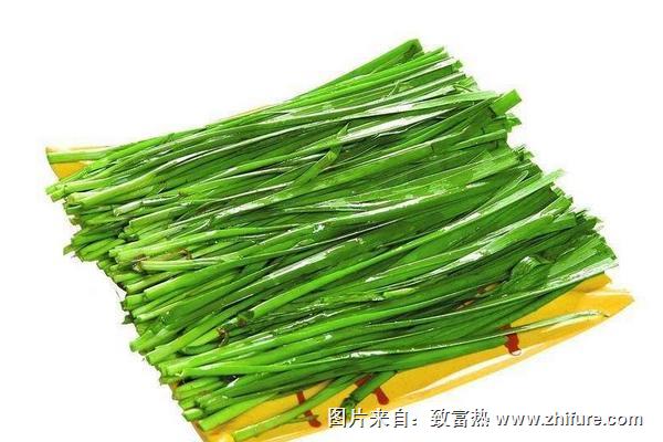 六月韭菜，臭死狗是什么意思？夏季如何选择好韭菜