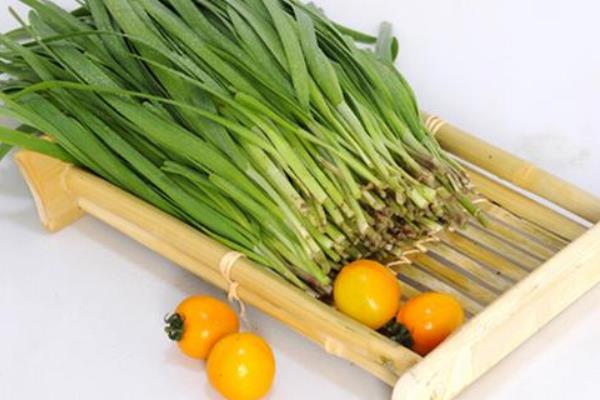 什么时候收获韭菜