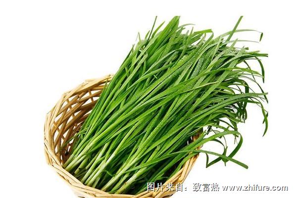 韭菜种植最简单的方法是什么