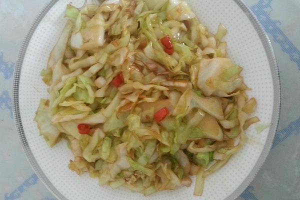 什么时候收获白菜