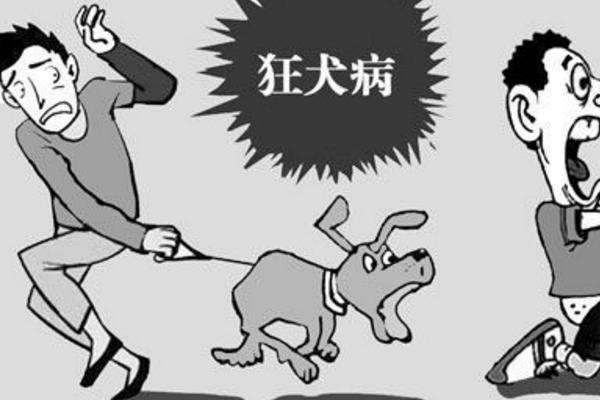 可以检查狂犬病吗