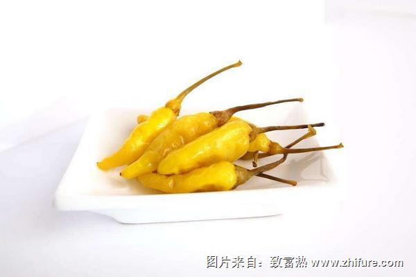 小米辣椒和朝天椒的区别