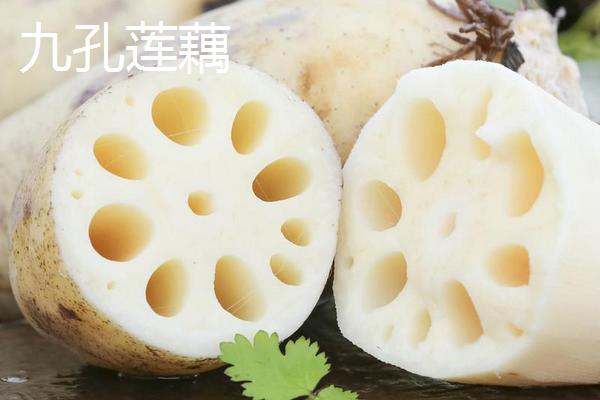 莲藕亩产量一般多少斤？莲藕种植一亩投资及效益分析
