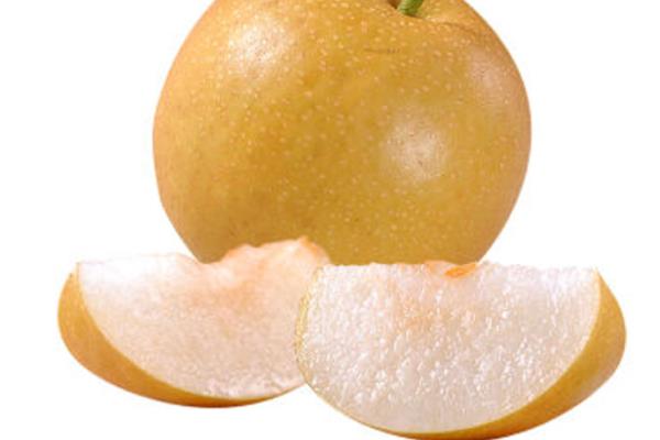 如何选择梨树种子？有哪些育苗方法
