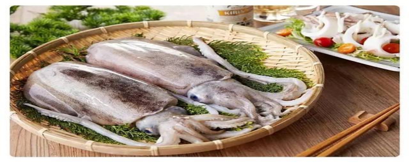 虎皮鹦鹉吃什么食物补钙