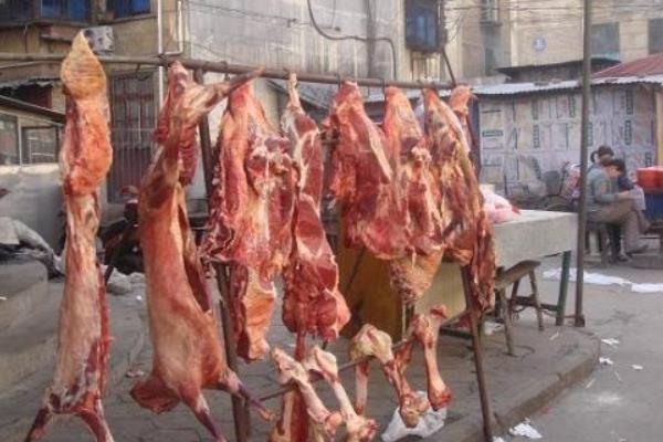 养牛的成本是多少？新手养牛前期需要投入多少万元