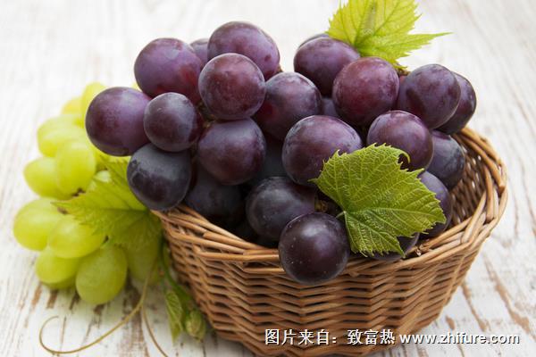 为什么温室的棚膜小于棚架时葡萄会死亡