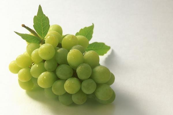 在哪里卖盆栽葡萄？种植盆栽葡萄，掌握这三点，果实又大又甜