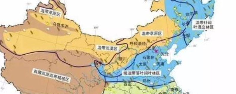怎样养单树