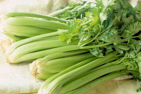 吃芹菜有什么好处和注意事项