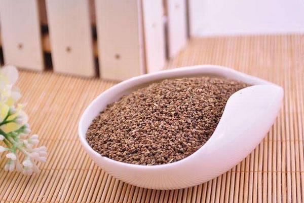芹菜喜欢什么样的土壤