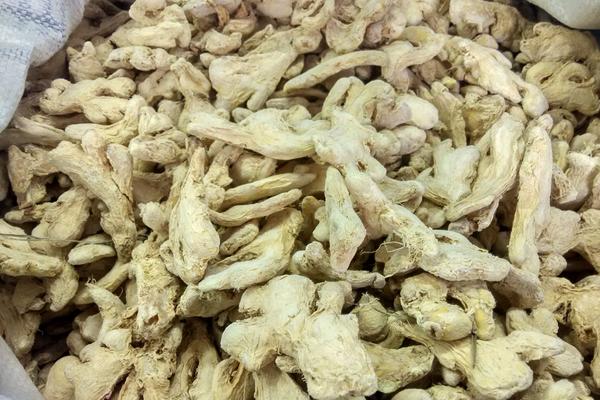 沙姜一斤多少钱？沙姜种植利润如何