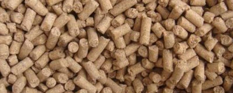 怀孕母猪大便干结怎么办