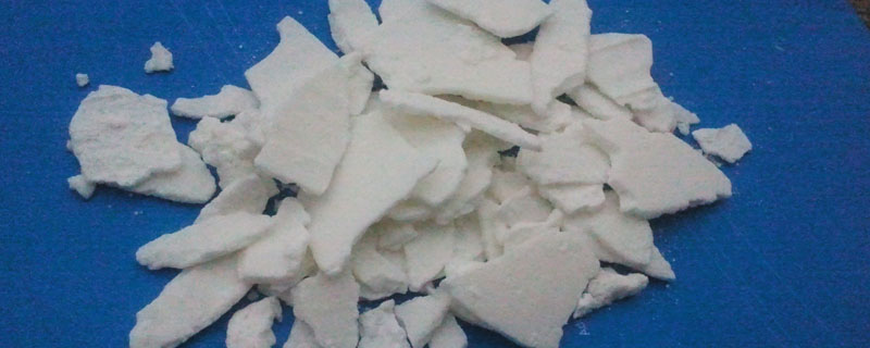 猪吐食是怎么回事用什么药