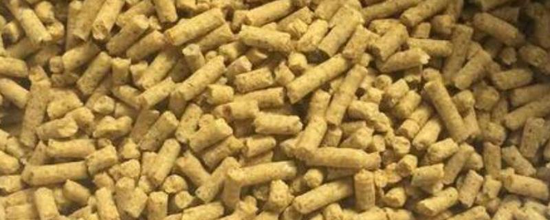 饲料喂牛的几个注意事项