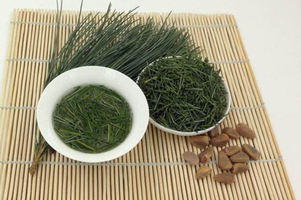 松树有哪些常见品种?它的价格是多少?各有什么特点